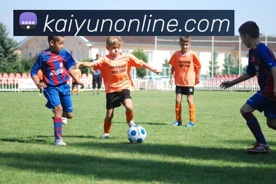 多媒体互动体验